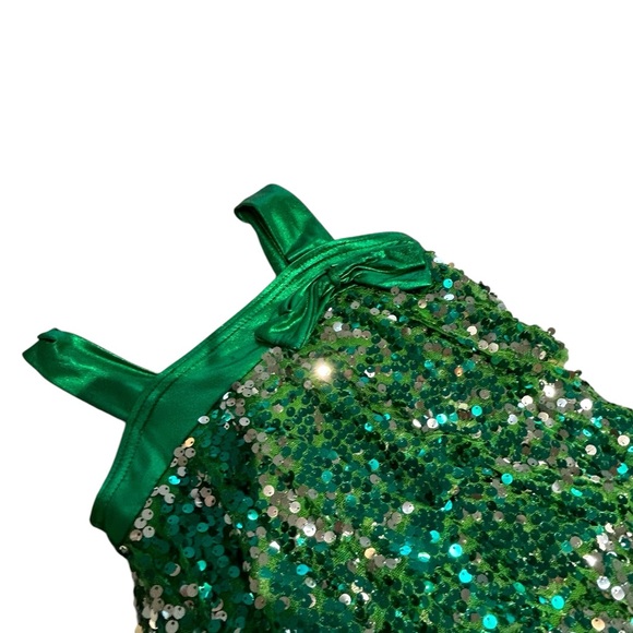 Girls Dance, Skating, Gymastics Dress with attached panty size girls small - Picture 2 of 5